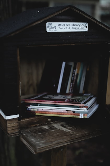 Creating Reading Programs for Kids